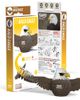 Eugy Puzzles Eugy Puzzles Bald Eagle 3D Puzzle  - 1