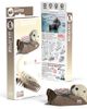Eugy Puzzles Eugy Puzzles Sea Otter 3D Puzzle  - 1