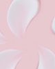 Face Republic Face Republic Blooming Time Bakuchiol Cream - 2