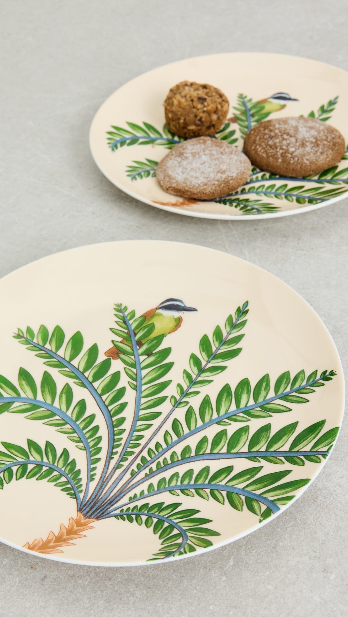 Farm Rio Dessert Plates