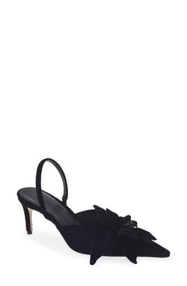 FARM Rio FARM Rio Flower Velvet Slingback Pump