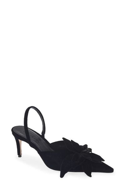 FARM Rio FARM Rio Flower Velvet Slingback Pump