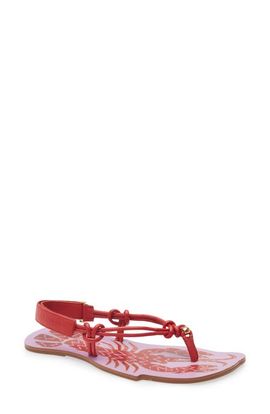 FARM Rio FARM Rio Lobster Slingback Sandal