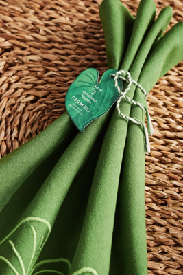 Farm Rio x Anthropologie Embroidered Napkin