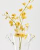 FAZEEK FAZEEK Silhouette Vase Clear One - 2