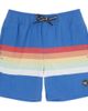 Feather 4 Arrow Feather 4 Arrow Kids' Stripe Volley Trunks - 1