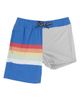 Feather 4 Arrow Feather 4 Arrow Kids' Stripe Volley Trunks - 4