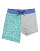 Feather 4 Arrow Feather 4 Arrow Kids' Volley Swim Trunks - 4