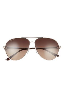 FERRAGAMO FERRAGAMO 61mm Timeless Aviator Sunglasses