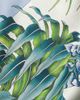 FERRAGAMO Women's India Print Silk Square Scarf - 4
