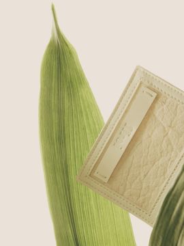 ffroi Pina Card Holder