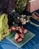 Flabelus Flabelus Lyra Petal Embroidered Mary Janes Shoe in Maroon, Women's at Urban Outfitters - 3