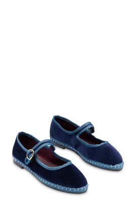 Flabelus Flabelus Montague Mary Jane Flat