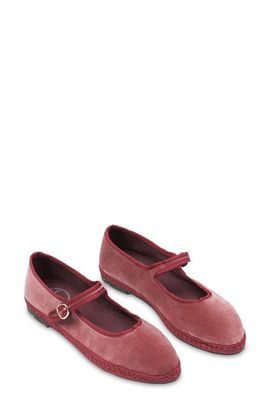 Flabelus Flabelus Theresa Mary Jane Flat