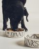 For Pete's Sake Pottery Dinner & Drinks Dog Bowl Set - 1