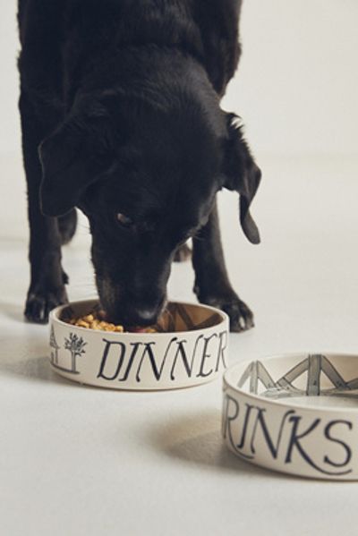 For Pete's Sake Pottery Dinner & Drinks Dog Bowl Set