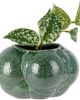 Forma Rosa Studio Forma Rosa Studio Green Mini Botryoidal Planter - 2