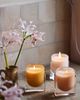 Found Notes by Anthropologie Found Notes Floral Rose & Oud Candle - 11