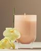 Found Notes by Anthropologie Found Notes Floral Rose & Oud Candle - 6