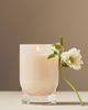 Found Notes by Anthropologie Found Notes Fruity Vanilla & Dark Plum Candle - 3