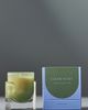 Found Notes by Anthropologie Found Notes Woody Cedar Leaf & Oak Candle - 1