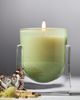 Found Notes by Anthropologie Found Notes Woody Cedar Leaf & Oak Candle - 3