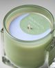 Found Notes by Anthropologie Found Notes Woody Cedar Leaf & Oak Candle - 4