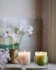Found Notes by Anthropologie Found Notes Woody Cedar Leaf & Oak Candle - 8