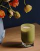 Found Notes by Anthropologie Found Notes Woody Cedar Leaf & Oak Candle - 9