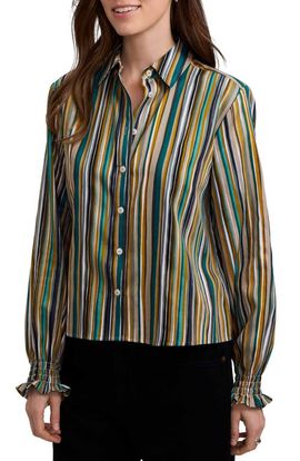 Foxcroft Foxcroft Vivienne Stripe Cotton Poplin Button-Up Shirt