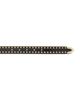 Frame Frame The Studded Western Leather Belt - 3