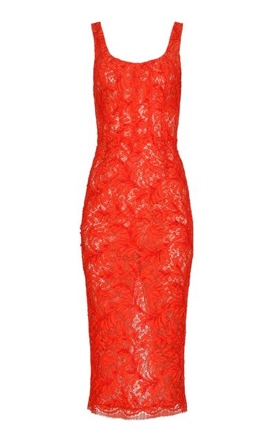 Francesca Miranda Francesca Miranda Stellar Lace Cotton Midi Dress