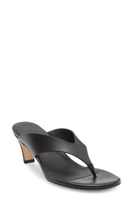 Freda Salvador Freda Salvador Flip Flop