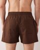 Free Society Free Society linen blend shorts in dark brown - 4