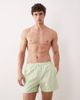 Free Society Free Society swim shorts in sage green - 1