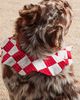Fren Fren x FP Exclusive Embrodiered Collar - 7