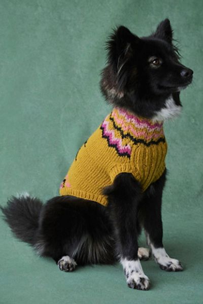 French Knot Penguin Sweater