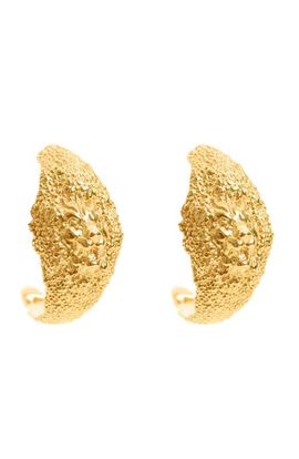 Freya Rose Freya Rose Lion Hoops