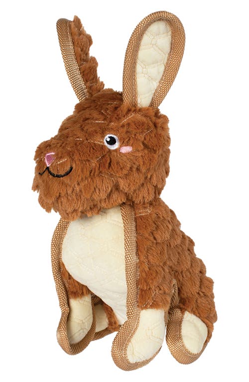 Fringe Studio Fringe Studio Ear to Be Hoppy Durable Dog Toy