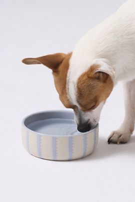 Fringe Studio Rounded Scallop Pet Bowl