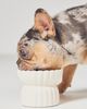 Fringe Studio White Raised Pet Feeder - 2