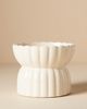 Fringe Studio White Raised Pet Feeder - 3