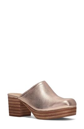Frye Frye Campus Leather Clog
