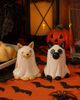 Gallerie II Gallerie II Ghost Cats Halloween Costume Dolomite Salt & Pepper Shakers Set of 2 - 2