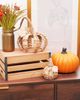 Gallerie II Gallerie II Medium Cattail Grass Pumpkin Figurine - 4