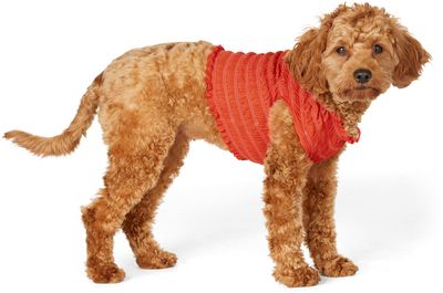 Gauntlett Cheng Gauntlett Cheng SSENSE Exclusive Red Elastic Sweater