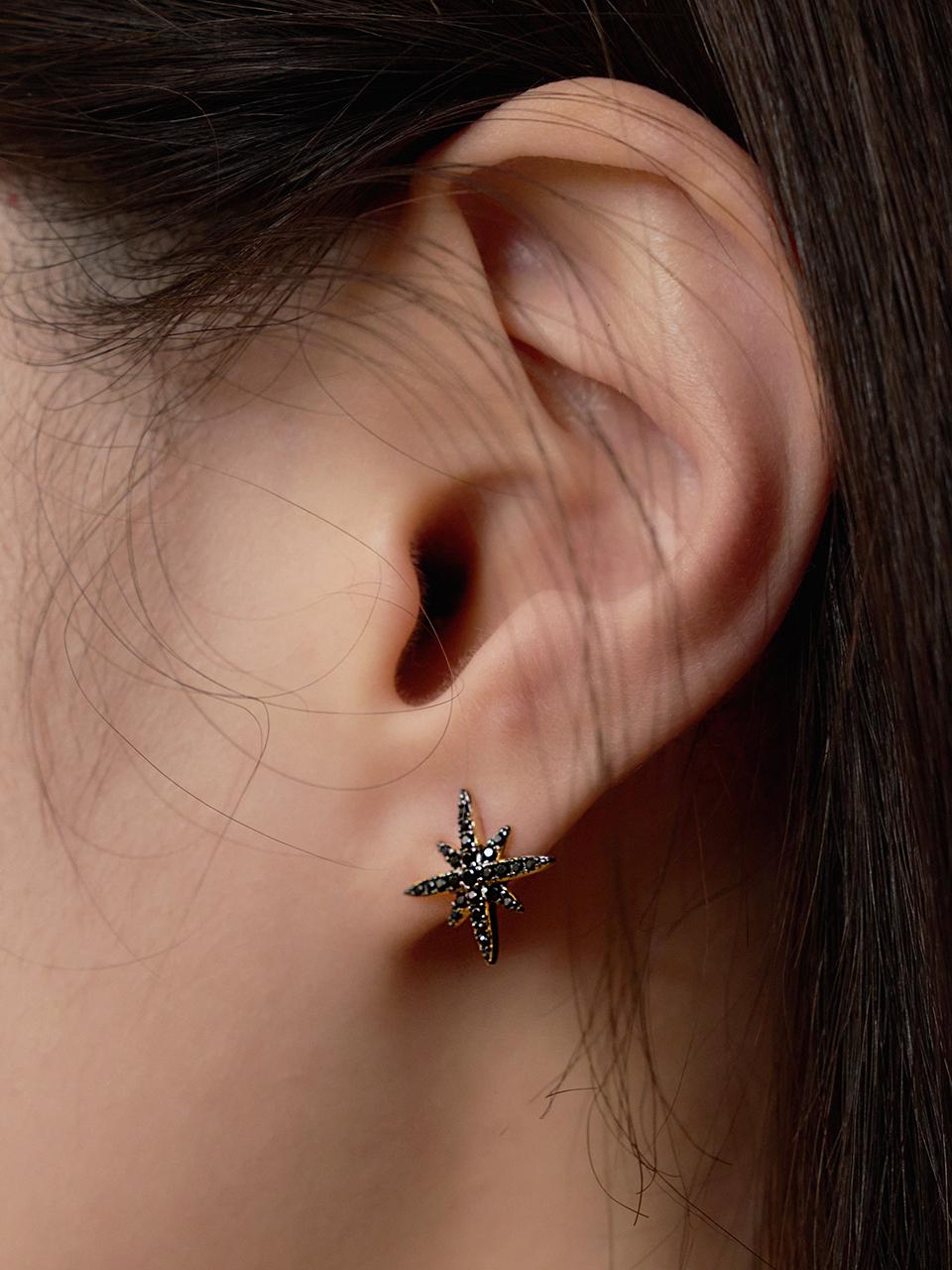 geegee Silver925 Gold Plated Cubic Earring [Black]