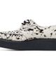 George Cox George Cox White & Black Skipton Derbys - 3