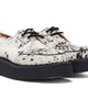 George Cox George Cox White & Black Skipton Derbys - 4