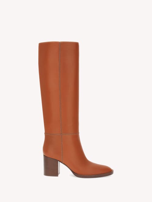 Gianvito Rossi Gianvito Rossi Etrier Boots